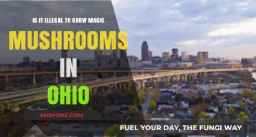 Is Growing Magic Mushrooms in Ohio Illegal? Legal Insights