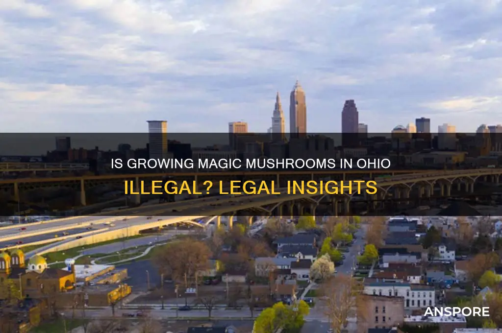 is it illegal to grow magic mushrooms in ohio