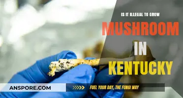 Is Growing Mushrooms in Kentucky Legal? Understanding the State Laws