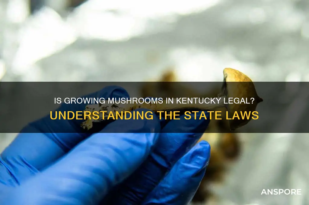 is it illegal to grow mushrooms in kentucky