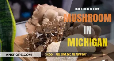 Growing Mushrooms in Michigan: Legal or Illegal? What You Need to Know