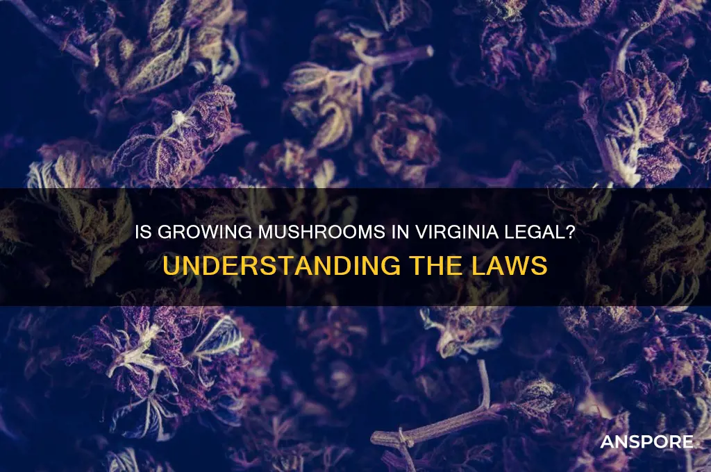 is it illegal to grow mushrooms in virginia