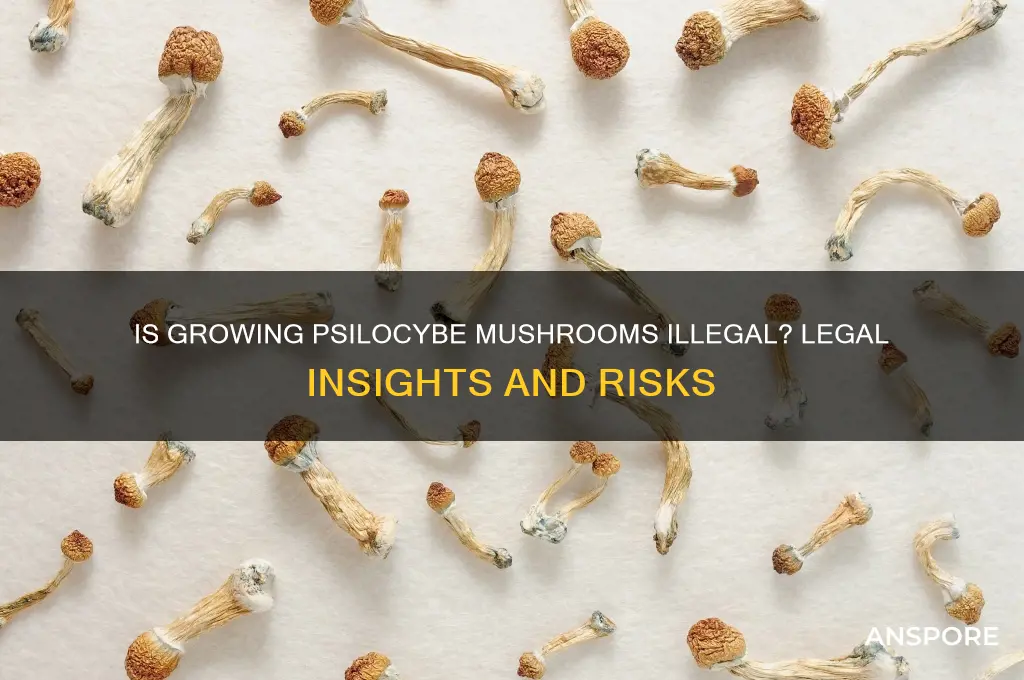 is it illegal to grow psilocybe mushrooms
