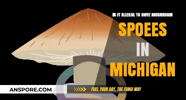 Are Mushroom Spores Legal in Michigan? Understanding the Law