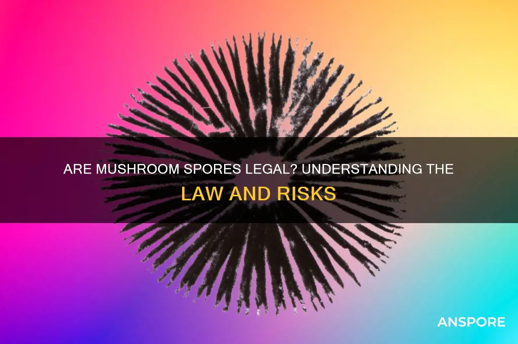 is it illegal to have mushroom spores