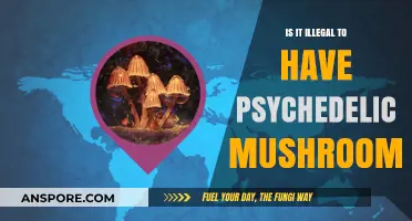 Are Psychedelic Mushrooms Illegal? Understanding the Legal Landscape