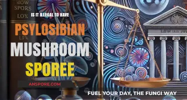 Is Possessing Psilocybin Mushroom Spores Illegal? Legal Insights Explained