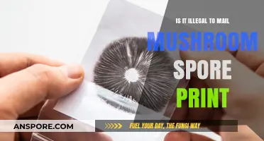 Mailing Mushroom Spore Prints: Legal or Illegal? What You Need to Know