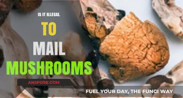 Mailing Mushrooms: Legal or Illegal? Understanding the Postal Regulations