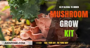 Is Ordering Mushroom Grow Kits Legal? What You Need to Know