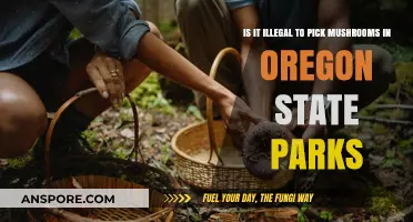 Picking Mushrooms in Oregon State Parks: Legal or Off-Limits?