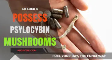 Possessing Psilocybin Mushrooms: Legal or Illegal? Understanding the Law