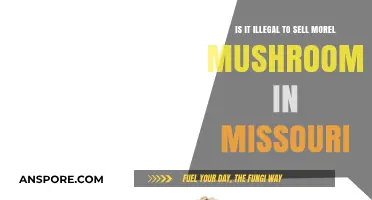 Selling Morel Mushrooms in Missouri: Legal or Illegal?