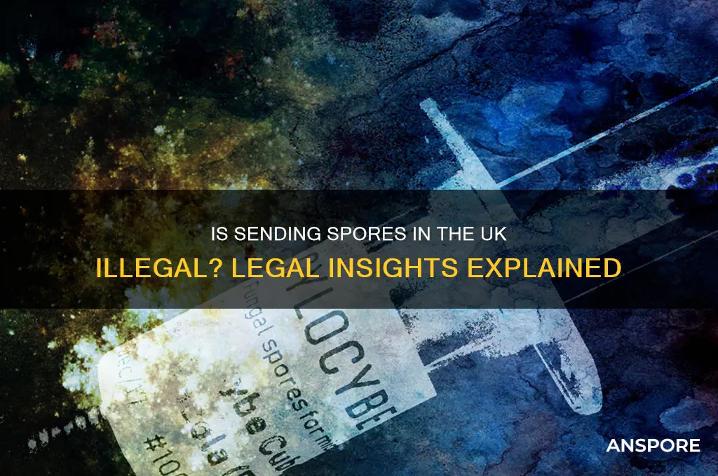 is it illegal to send spores uk