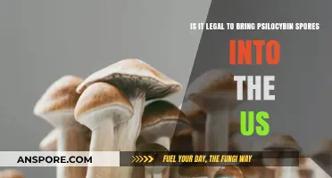 Bringing Psilocybin Spores to the US: Legal or Illegal?