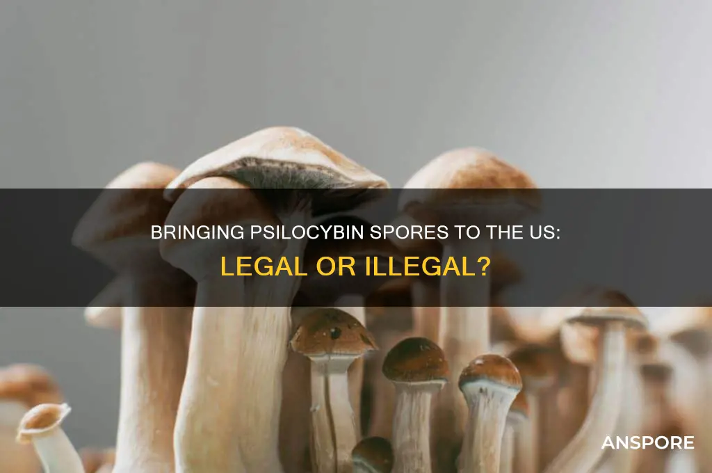 is it legal to bring psilocybin spores into the us