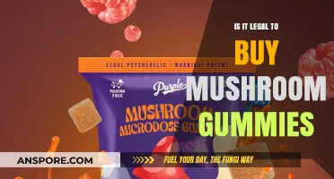 Are Mushroom Gummies Legal? Understanding the Laws and Risks