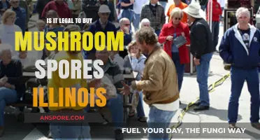 Is Buying Mushroom Spores Legal in Illinois? What You Need to Know