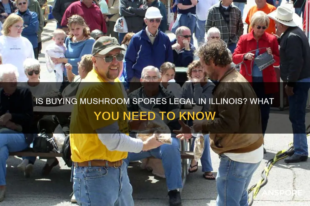 is it legal to buy mushroom spores illinois