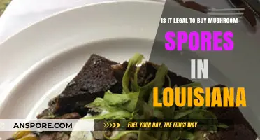 Louisiana's Legal Stance on Buying Mushroom Spores: What You Need to Know