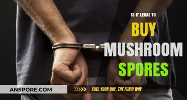 Buying Mushroom Spores: Legal Status and What You Need to Know