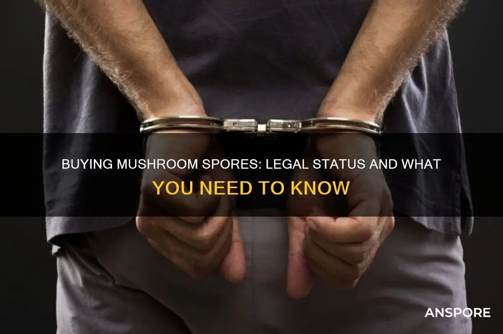 is it legal to buy mushroom spores