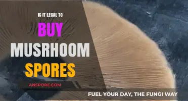 Buying Mushroom Spores: Legal or Not? A Comprehensive Guide