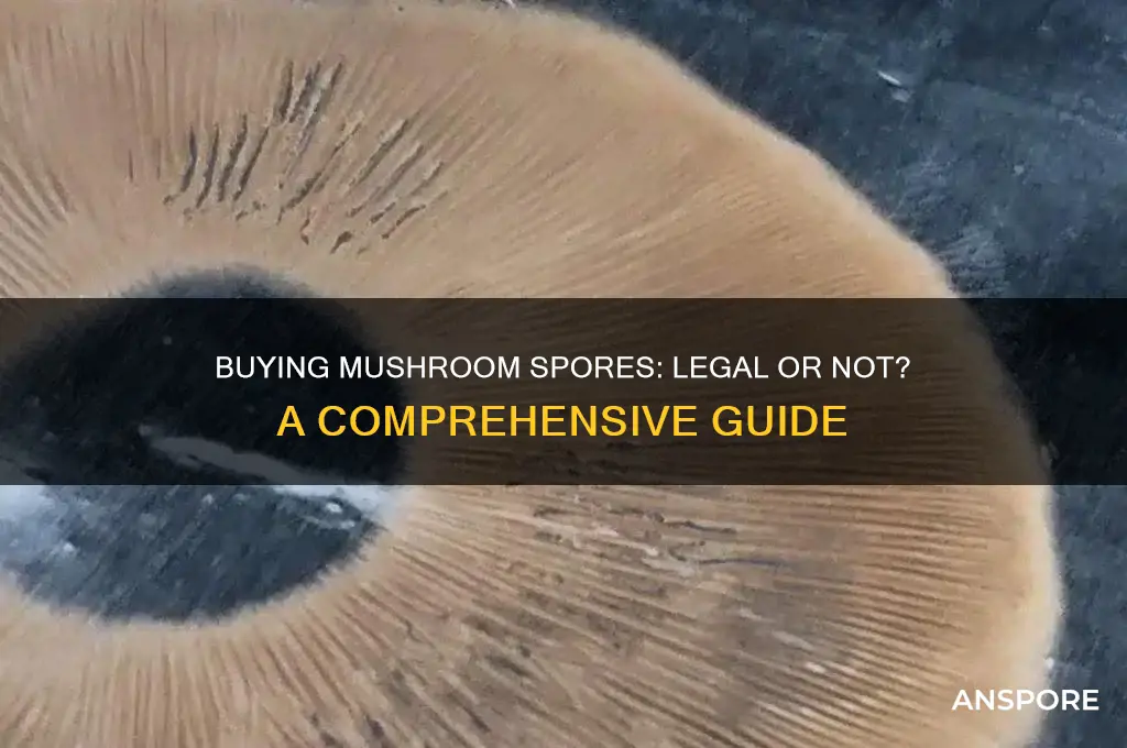 is it legal to buy musrhoom spores