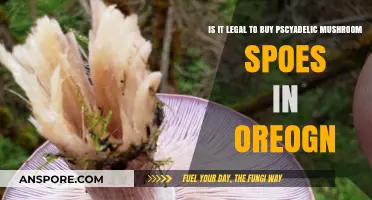Legal Status of Buying Psychedelic Mushroom Spores in Oregon