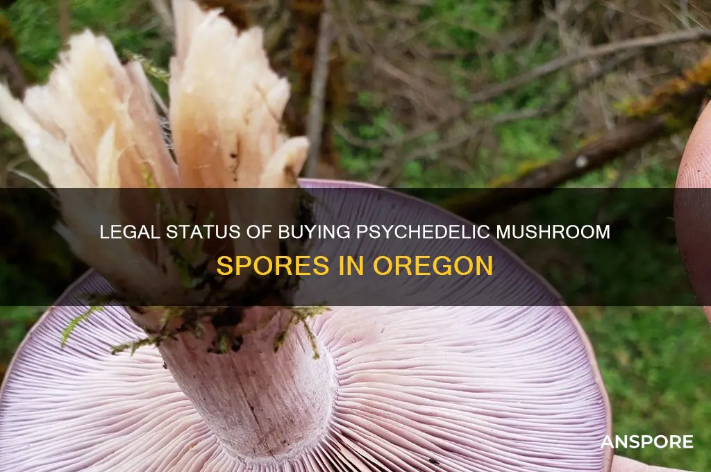 is it legal to buy pscyadelic mushroom spoes in oreogn