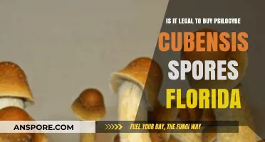 Is Buying Psilocybe Cubensis Spores Legal in Florida?