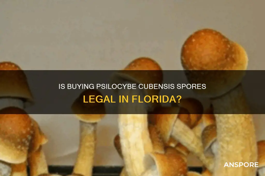 is it legal to buy psilocybe cubensis spores florida