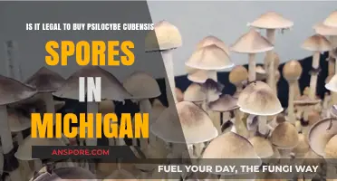 Buying Psilocybe Cubensis Spores in Michigan: Legal or Not?