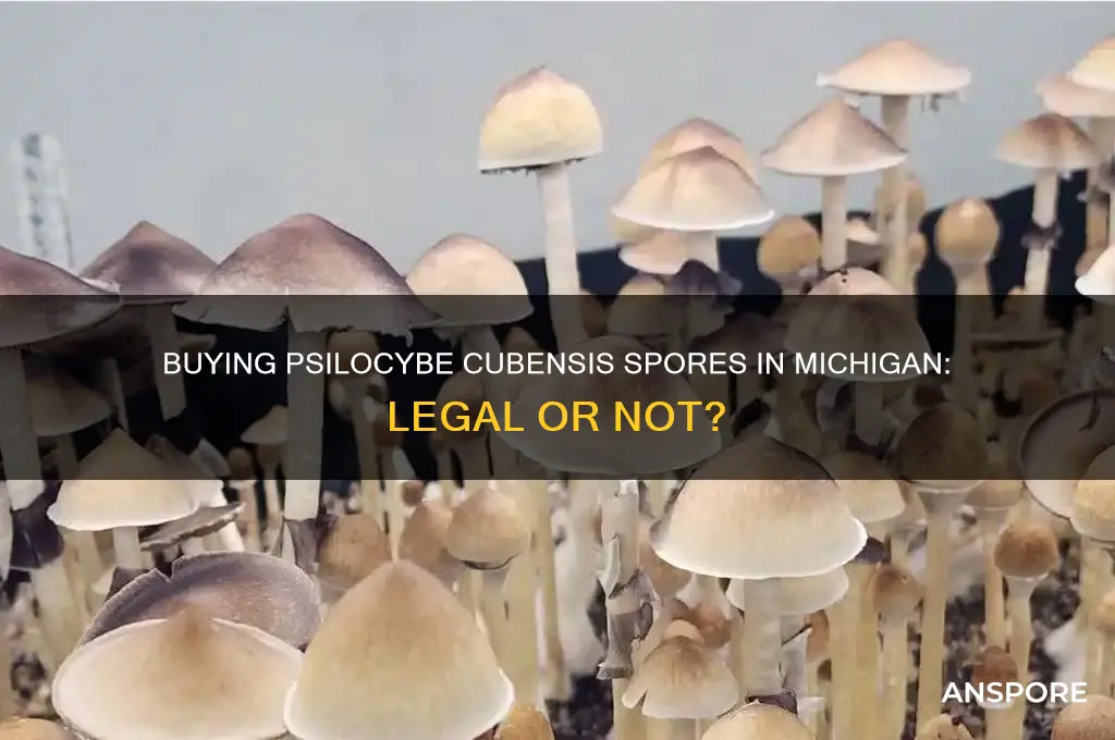 is it legal to buy psilocybe cubensis spores in michigan