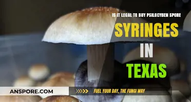 Buying Psilocybin Spore Syringes in Texas: Legal or Not?