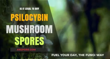 Buying Psilocybin Mushroom Spores: Legal or Illegal? What You Need to Know