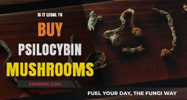 Is Buying Psilocybin Mushrooms Legal? Understanding the Current Laws