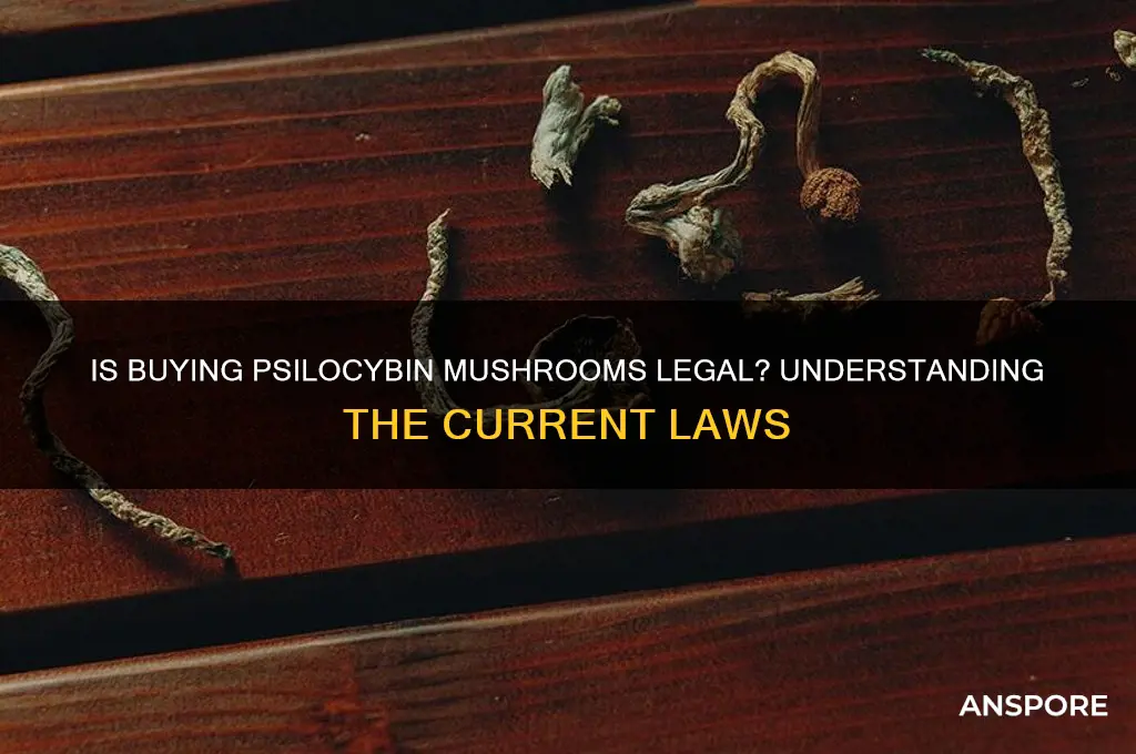 is it legal to buy psilocybin mushrooms