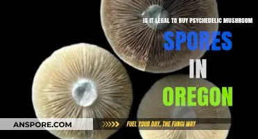 Oregon's Psychedelic Mushroom Spores: Legal to Buy or Not?