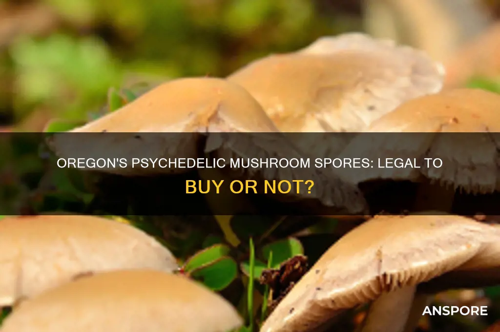 is it legal to buy psychedelic mushroom spores in oregon