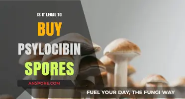 Is Buying Psilocybin Spores Legal? Understanding the Laws and Risks