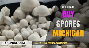 Is Buying Spores Legal in Michigan? Understanding the Law