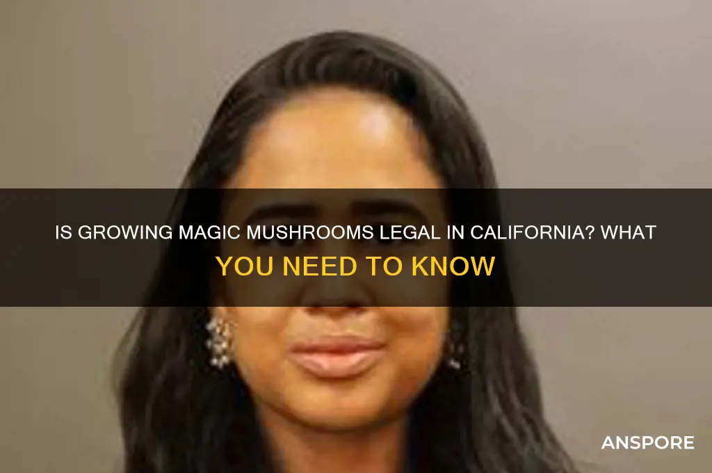 is it legal to grow magic mushrooms in california