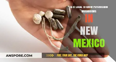 Growing Psilocybin Mushrooms in New Mexico: Legal or Illegal?