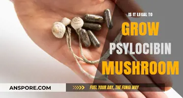 Is Growing Psilocybin Mushrooms Legal? Understanding the Laws and Risks