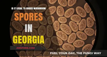 Ordering Mushroom Spores in Georgia: Legal or Not?