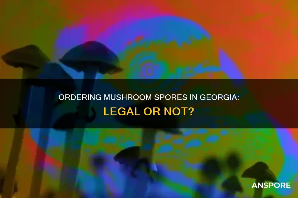 is it legal to order mushroom spores in georgia
