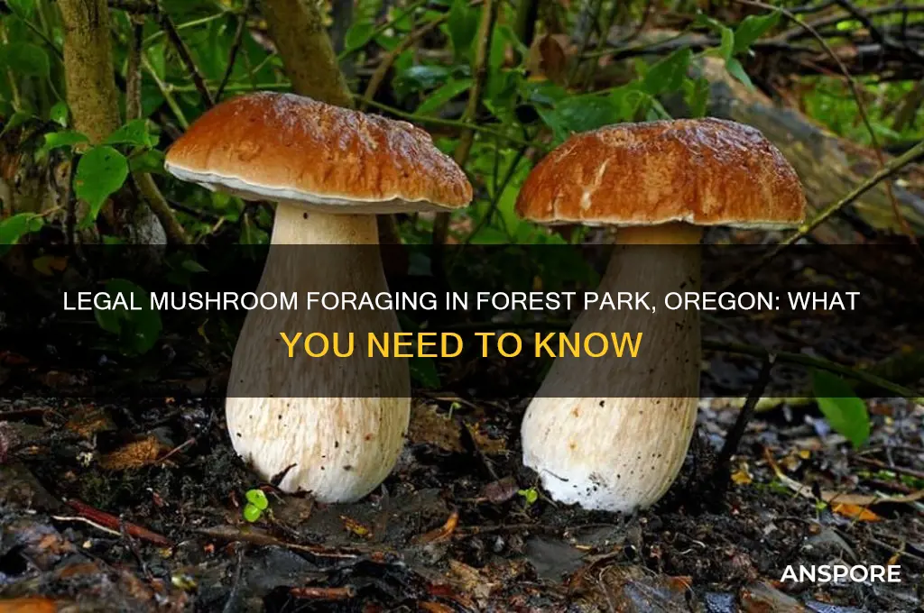 is it legal to pick mushrooms in forest park oregon
