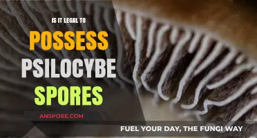 Possessing Psilocybe Spores: Legal Loopholes and State Regulations Explained