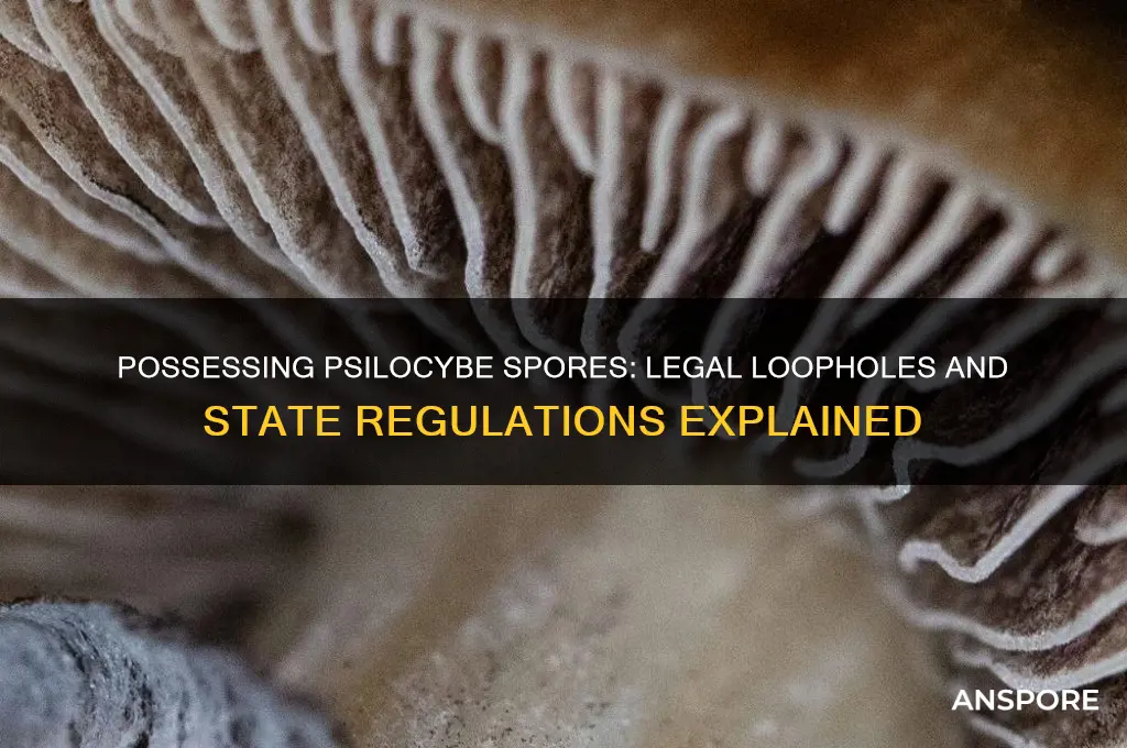 is it legal to possess psilocybe spores
